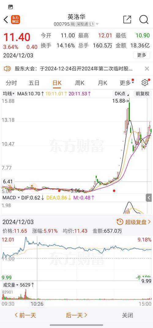 英洛华1月3日盘中涨停