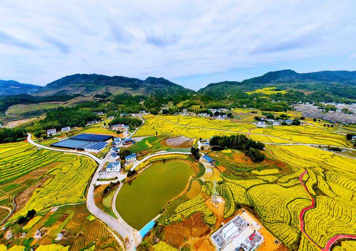 点“土”成金