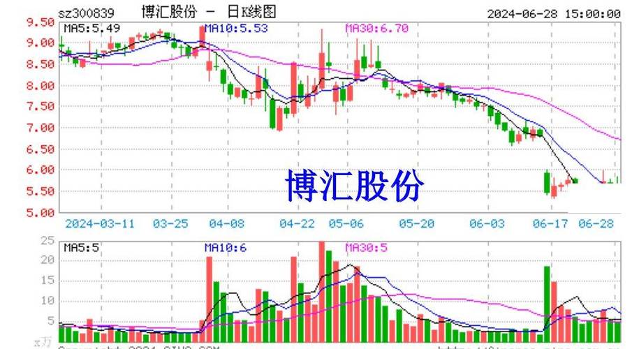 博汇股份1月3日盘中跌幅达5%