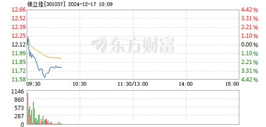 保立佳1月6日快速回调