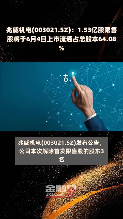 埃科光电:16212384股限售股将于1月20日上市流通
