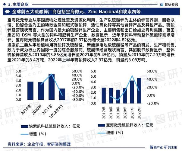 2024年铅锌行业大事记