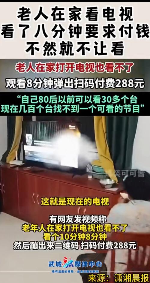 奶奶家电视故障,究竟是何原因导致?