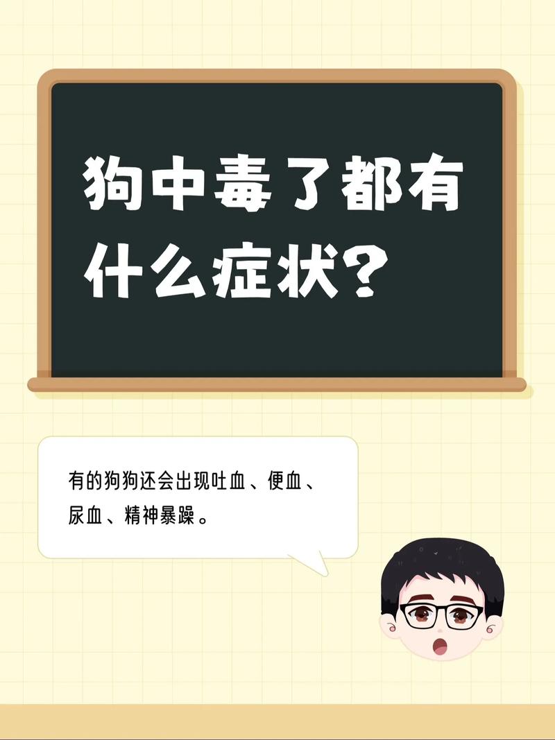 狗狗电视故障大全,你家毛孩遇到过吗?