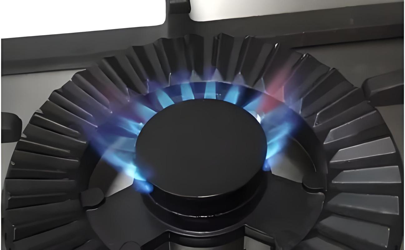 sast先科燃气灶故障
