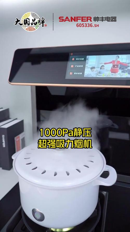 帅丰油烟机故障E1