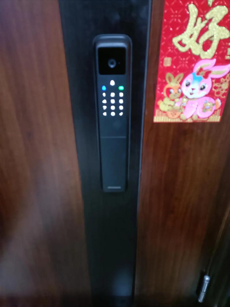 带猫眼智能锁显示屏故障
